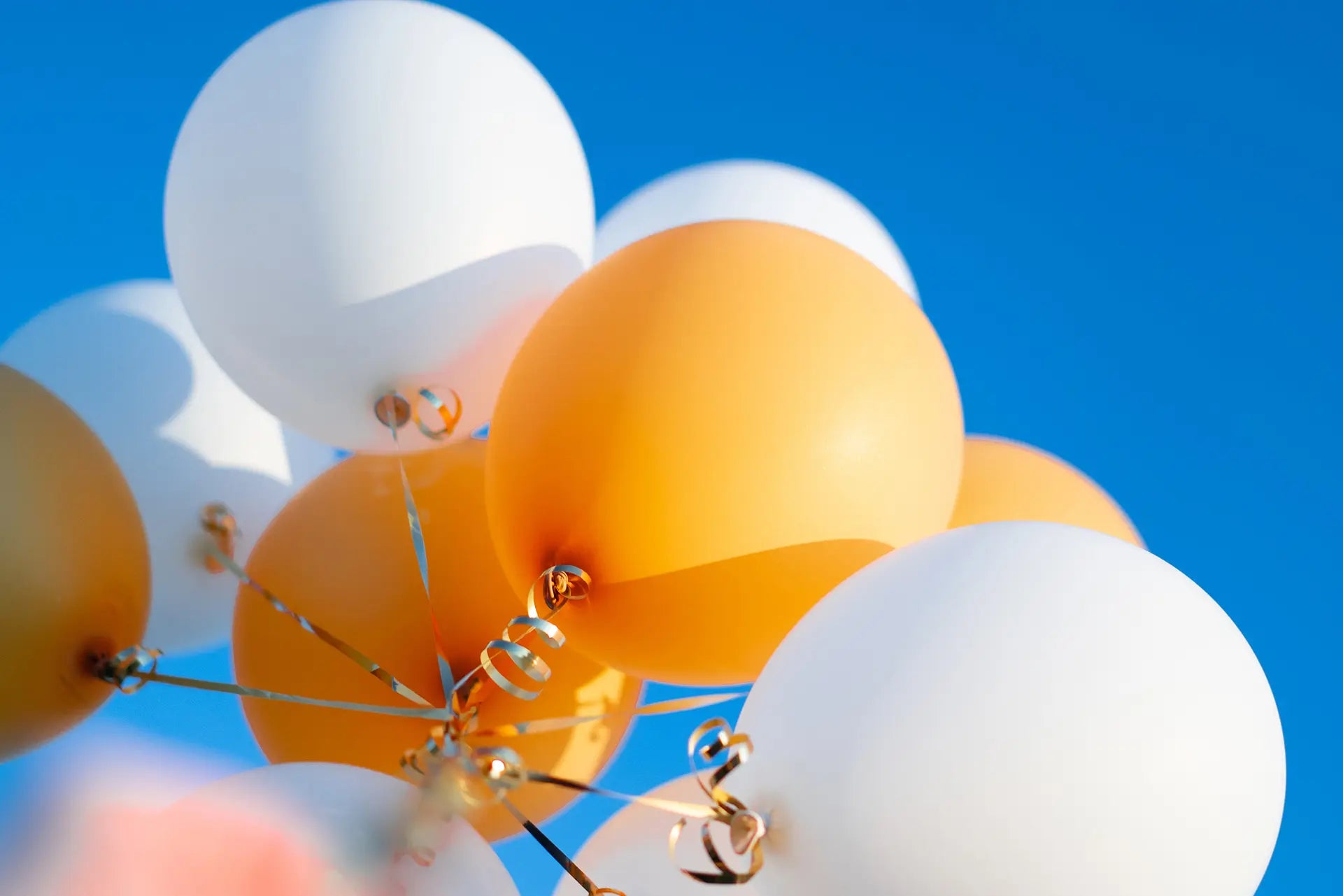 Tails Jolie Fête UK - Party Supplies & Gifts
