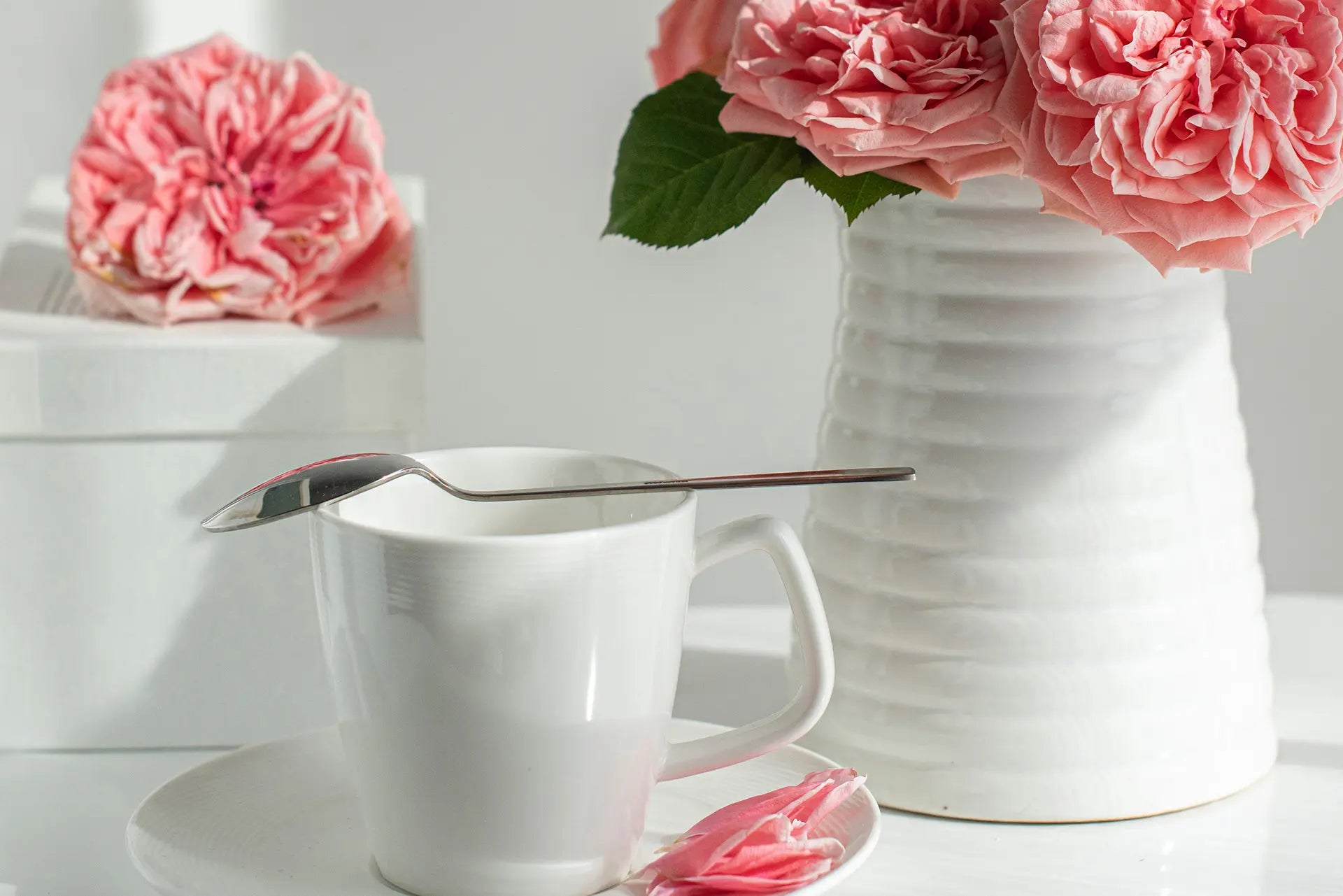 Kitchenware Jolie Fête UK - Party Supplies & Gifts