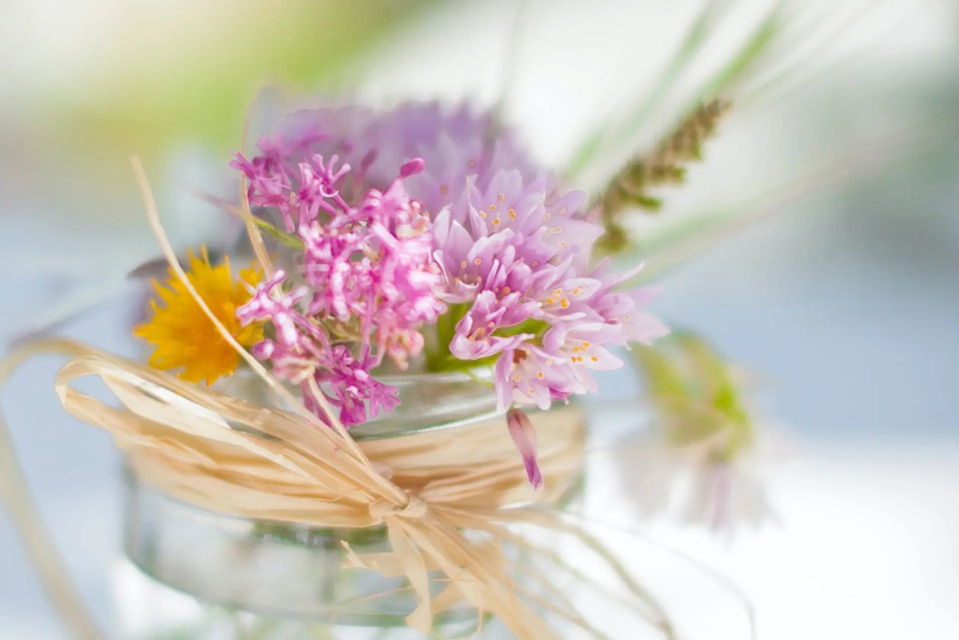 Rustic Country Jolie Fête UK - Party Supplies & Gifts