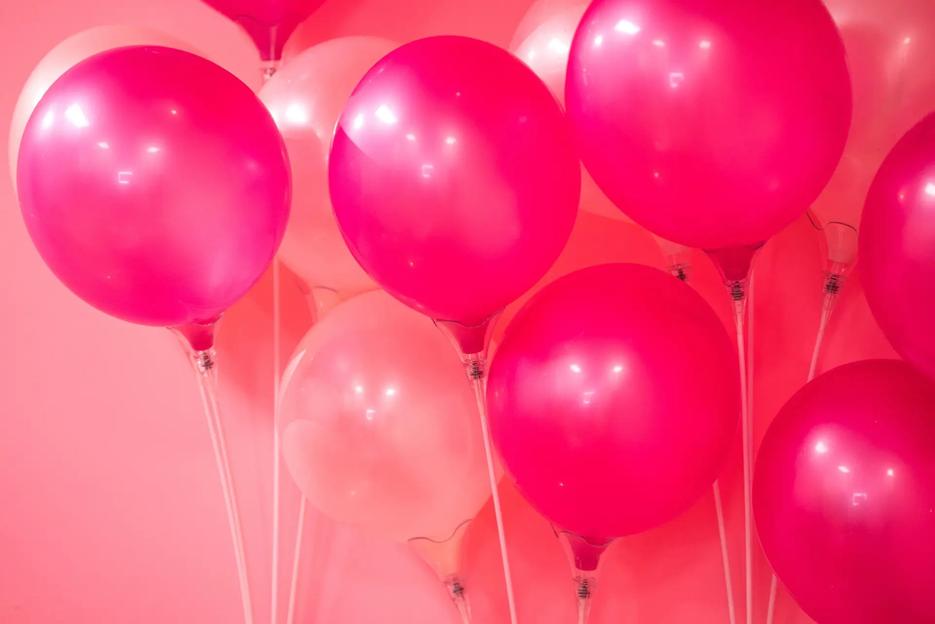 Hen Balloons Jolie Fête UK - Party Supplies & Gifts