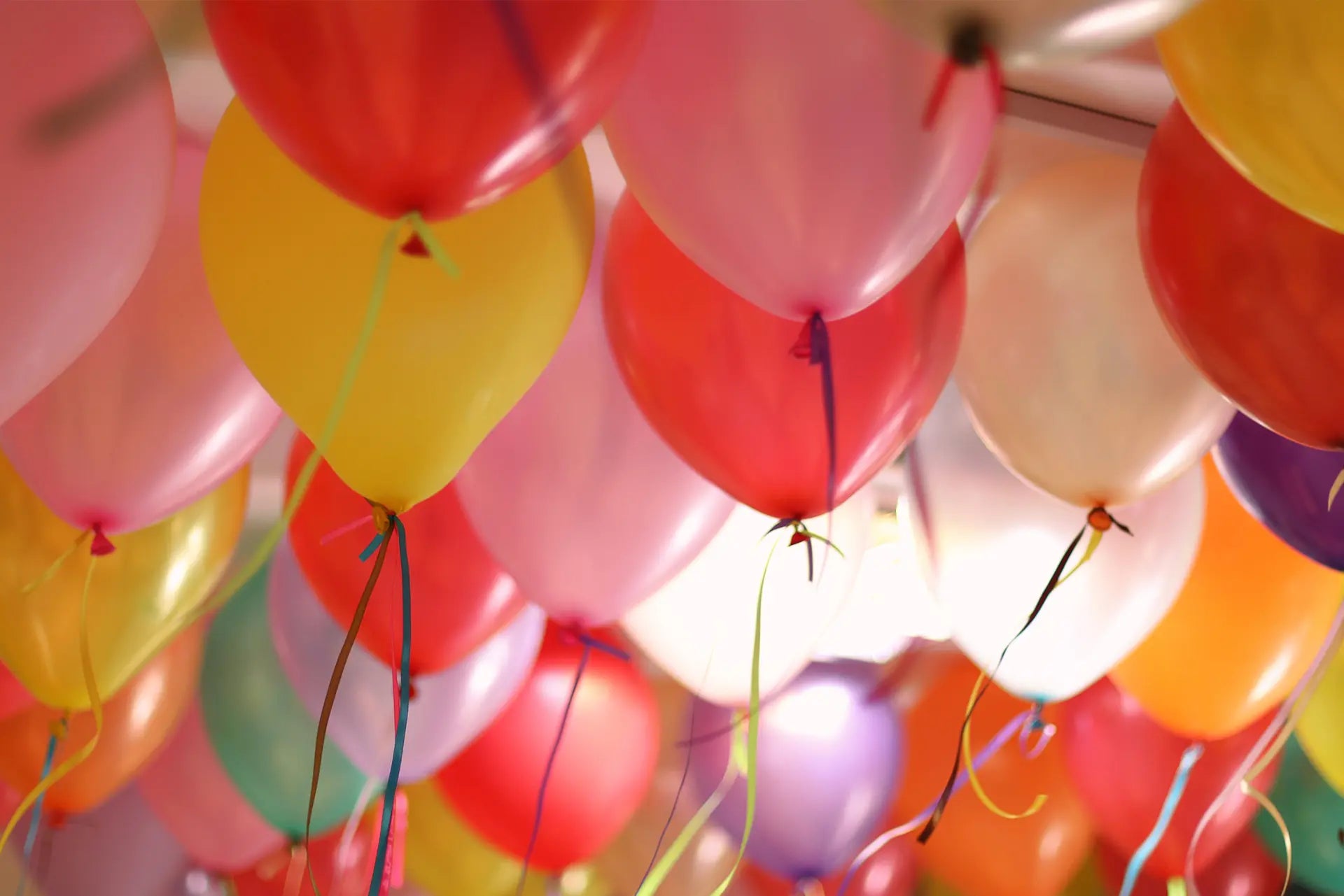 Party Jolie Fête UK - Party Supplies & Gifts