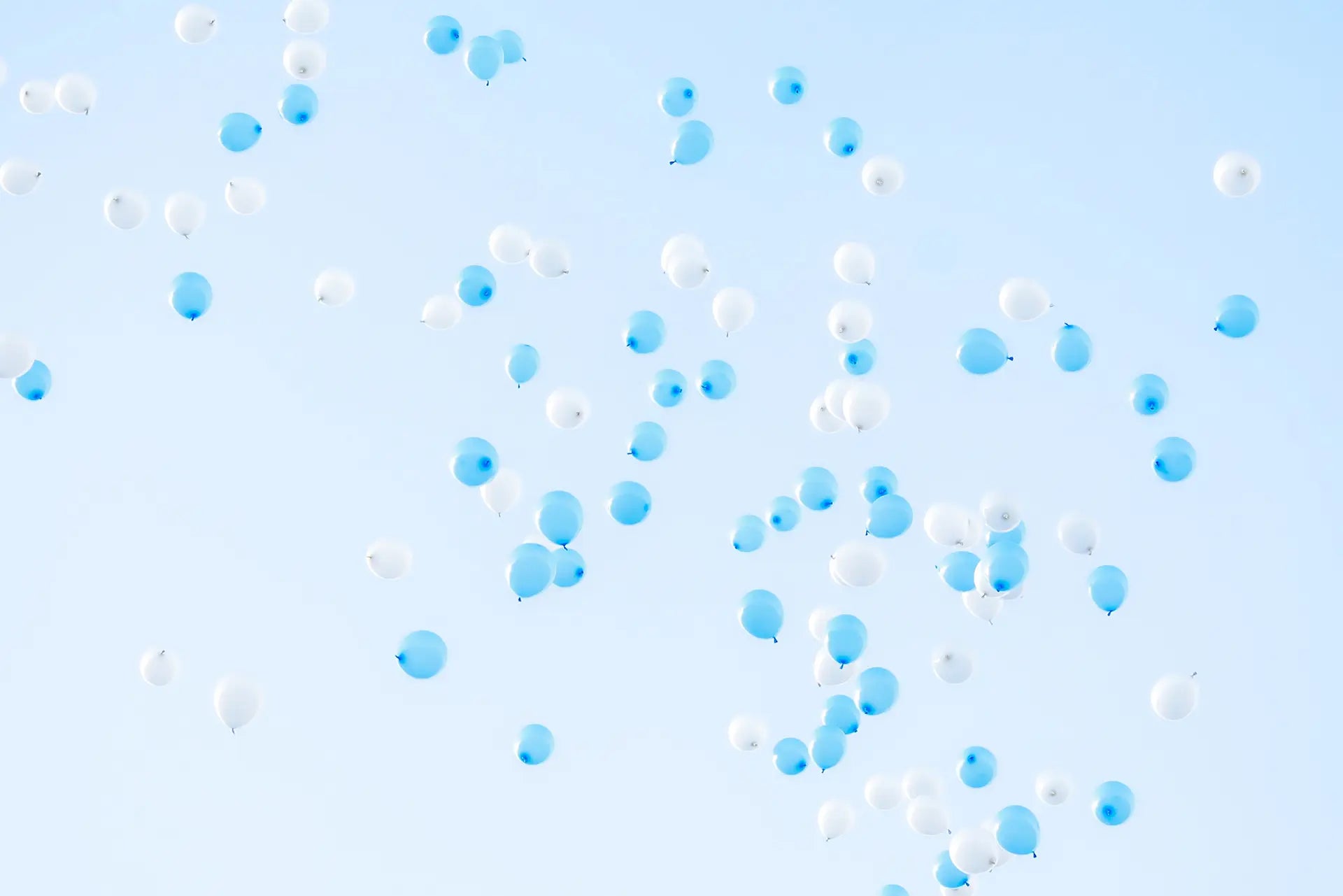 Gender Reveal Jolie Fête UK - Party Supplies & Gifts