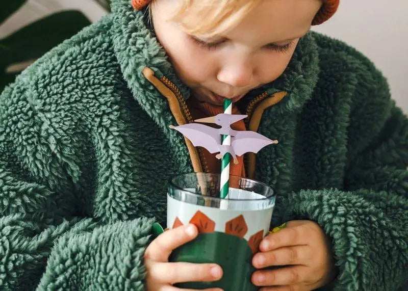 Dinosaur Party Paper Straws - Animal Party Straws - Kids Jurassic Dino Party Supplies - Cute Dinosaurs - Dinosaur Theme - Pack Of 6 - Jolie Fete