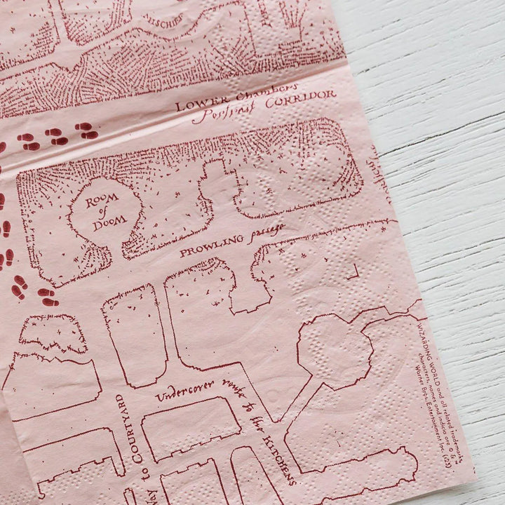 Harry Potter Party Napkins - Hogwarts House Pride - Officially Licensed - Secret Map - Gryffindor Slytherin Ravenclaw Hufflepuff -Pack of 24 - Jolie Fete UK