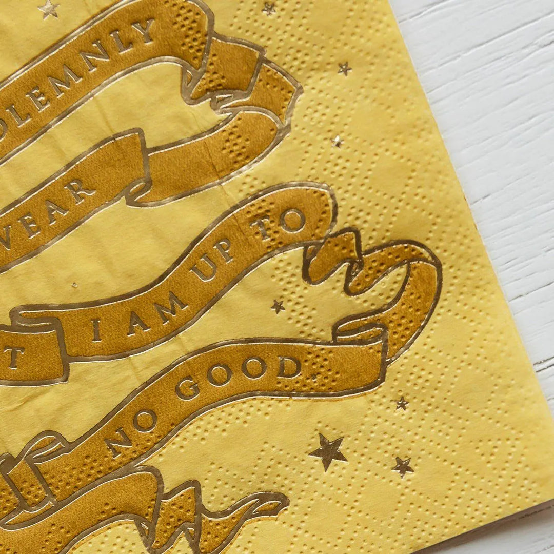 Harry Potter Party Napkins - Hogwarts House Pride - Officially Licensed - Secret Map - Gryffindor Slytherin Ravenclaw Hufflepuff -Pack of 24 - Jolie Fete UK