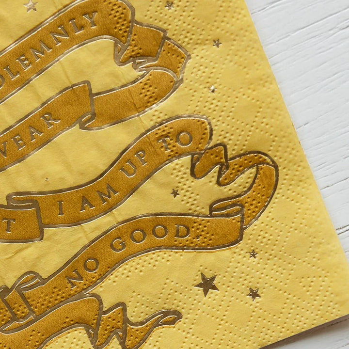 Harry Potter Party Napkins - Hogwarts House Pride - Officially Licensed - Secret Map - Gryffindor Slytherin Ravenclaw Hufflepuff -Pack of 24 - Jolie Fete UK