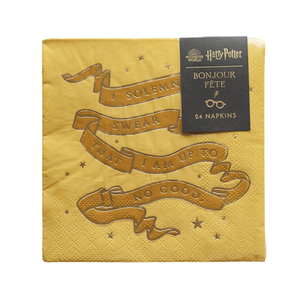 Harry Potter Party Napkins - Hogwarts House Pride - Officially Licensed - Secret Map - Gryffindor Slytherin Ravenclaw Hufflepuff -Pack of 24 - Jolie Fete UK