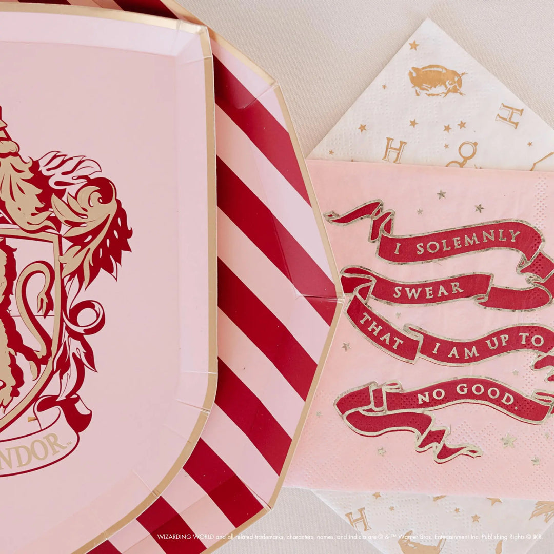 Harry Potter Party Napkins - Hogwarts House Pride - Officially Licensed - Secret Map - Gryffindor Slytherin Ravenclaw Hufflepuff -Pack of 24 - Jolie Fete UK