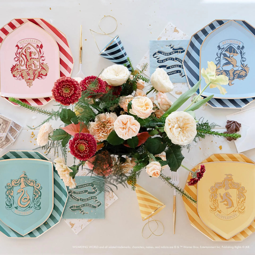 Harry Potter Party Plates - Officially Licensed House Pride Striped Large Paper Plates - Hogwarts Birthday Tableware - Pack of 8 - Jolie Fete UK