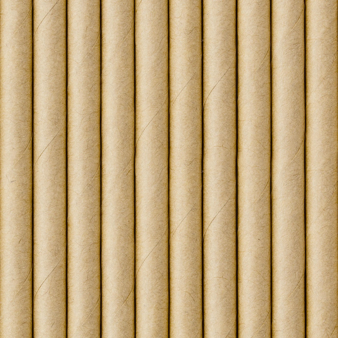 Kraft Paper Straws 19.5cm - Natural Brown Eco Friendly Party Straws - Birthday Party Straws - Woodland Theme - Drinks Table - Pack of 10 - Jolie Fete UK