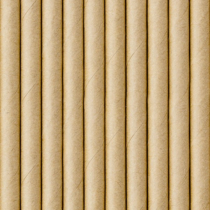 Kraft Paper Straws 19.5cm - Natural Brown Eco Friendly Party Straws - Birthday Party Straws - Woodland Theme - Drinks Table - Pack of 10 - Jolie Fete UK