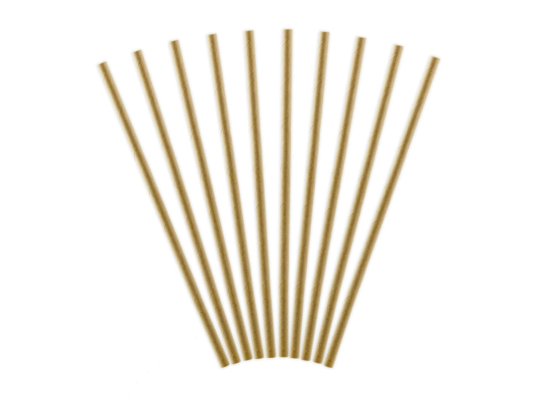 Kraft Paper Straws 19.5cm - Natural Brown Eco Friendly Party Straws - Birthday Party Straws - Woodland Theme - Drinks Table - Pack of 10 - Jolie Fete UK