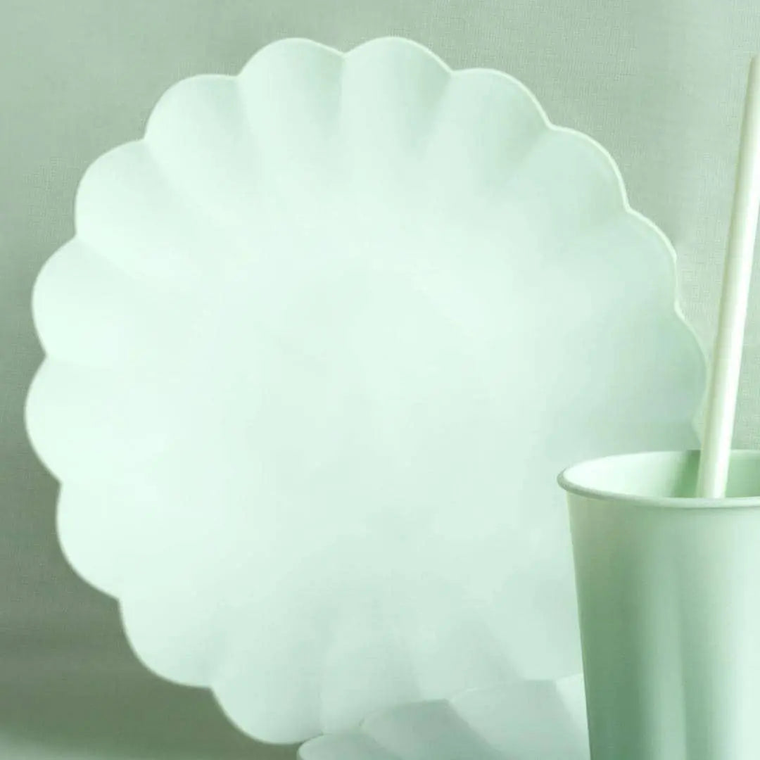 Pastel Green Reusable Plates - Mint Green Party Plates - Light Green Birthday Party Decorations - Picnic Plastic Plates - Pack Of 4 - Jolie Fete UK