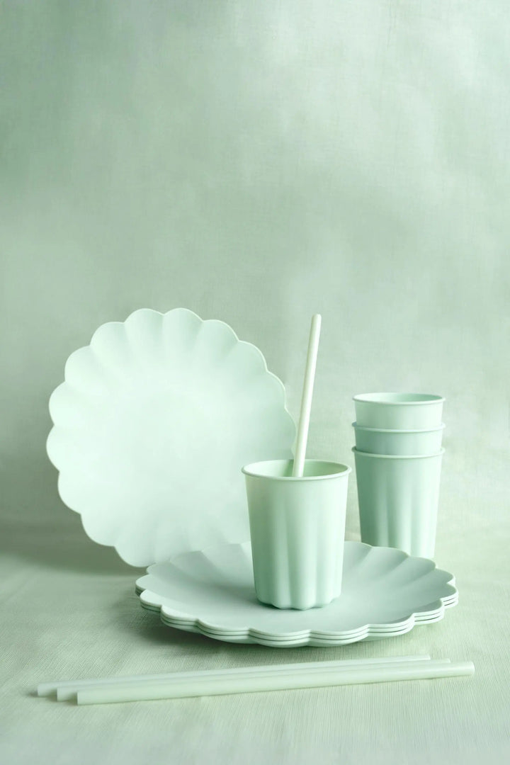 Pastel Green Reusable Straws - Mint Green Party Straws - Light Green Birthday Party Tableware -Reusable Plastic Straws With Brush-Pack Of 12 - Jolie Fete UK