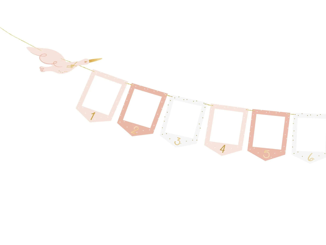 Pink & White Stork Picture Frame Garland - 12 Month Baby Milestone Banner - First Birthday Photo Display - New Baby Girl Nursery Decor - Jolie Fete UK