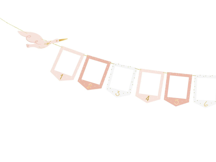 Pink & White Stork Picture Frame Garland - 12 Month Baby Milestone Banner - First Birthday Photo Display - New Baby Girl Nursery Decor - Jolie Fete UK