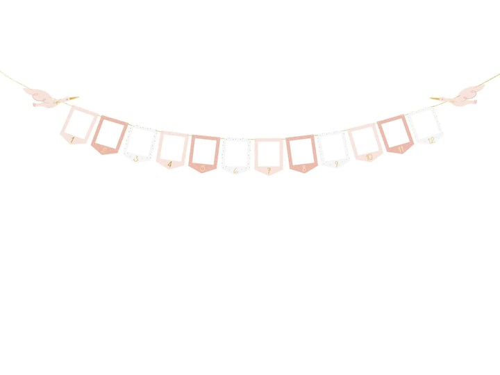 Pink & White Stork Picture Frame Garland - 12 Month Baby Milestone Banner - First Birthday Photo Display - New Baby Girl Nursery Decor - Jolie Fete UK
