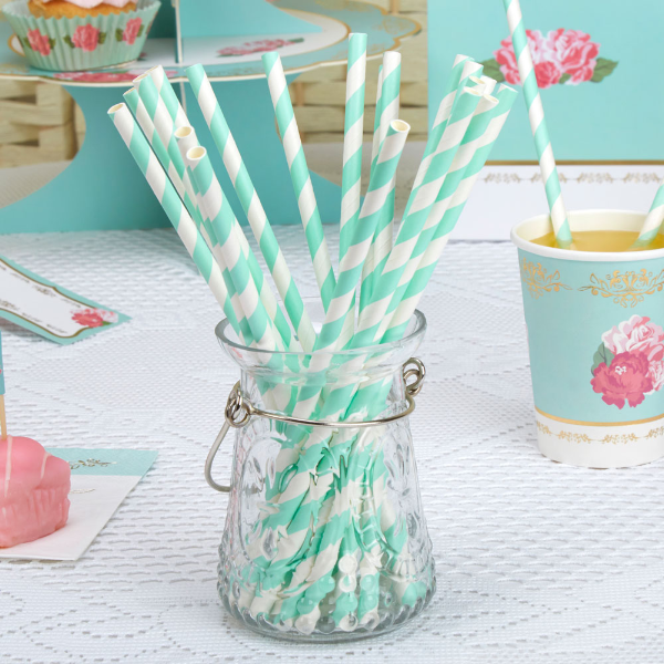 Mint & White Striped Paper Straws - Pack of 25 - Colour Block Mint